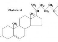 Як знизити холестерин в крові